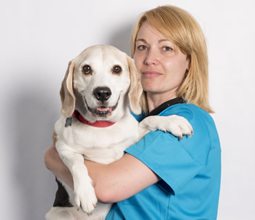 Auxiliar de veterinaria y peluqueria canina Maria Jose Villa