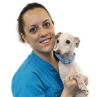 Auxiliar veterinaria en recepcion Nayara Lebrero